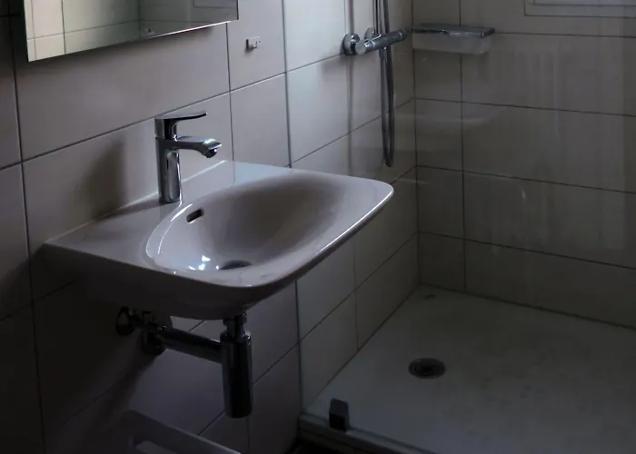 托尔贡酒店 宾馆 Vionnaz