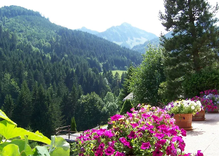 De Torgon Han/Misafirhane Vionnaz