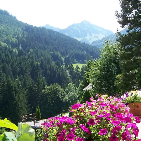 De Torgon Penzion Vionnaz